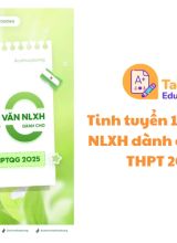 Tinh tuyển 100 đoạn văn NLXH dành cho kỳ thi TN THPT 2025 PDF Cô Trần Thuỳ Dương miễn phí